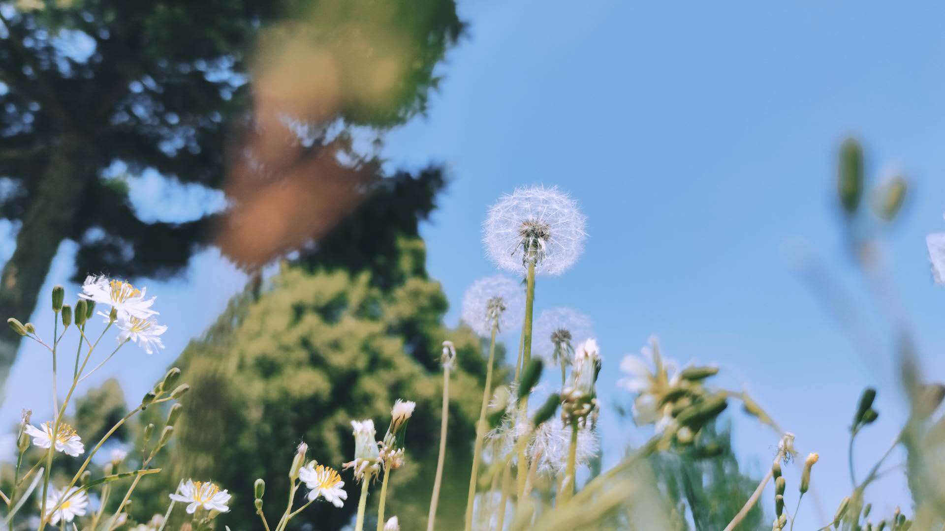 miui12拍照全新体验评测