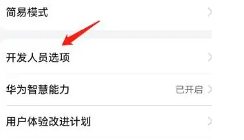 vivox70 pro如何打开VONR