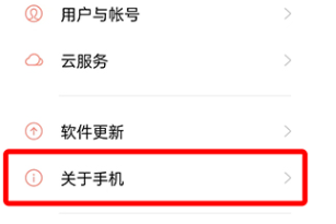 oppok10如何打开开发者选项