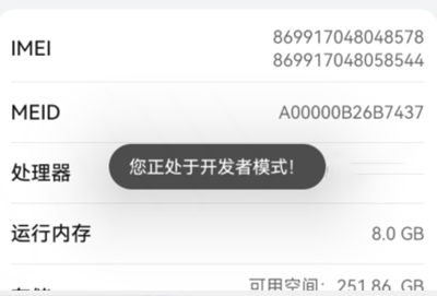 mate50开发者选项怎么打开