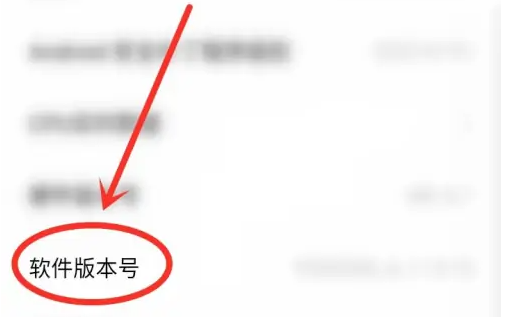 vivos16开发者选项在哪
