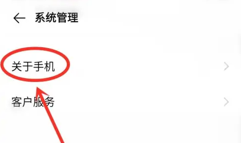 vivos16开发者选项在哪