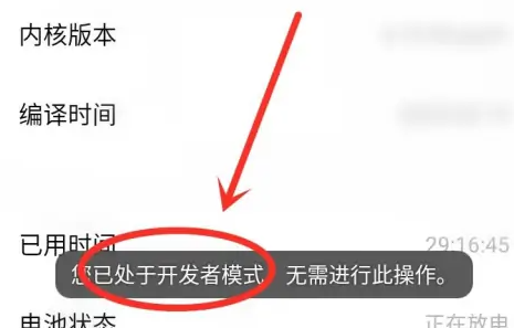 vivos16开发者选项在哪