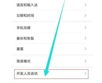 荣耀x50i开发者选项在哪