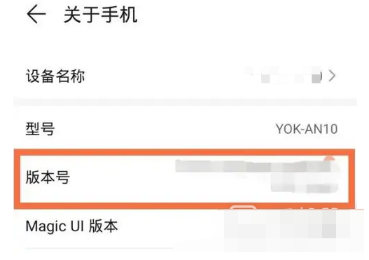 荣耀x50i开发者选项在哪