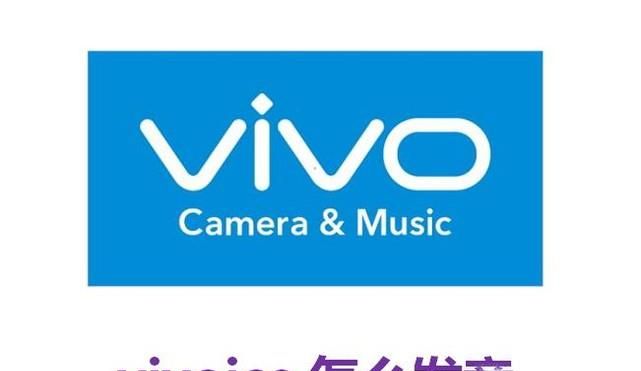vivoice怎么发音