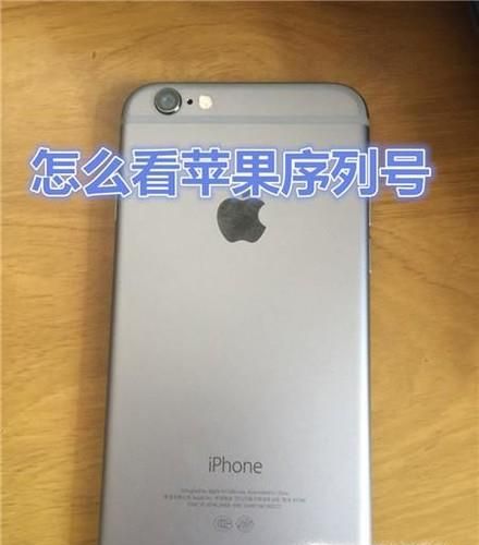 怎么看苹果序列号