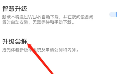 vivoy27更新系统方法