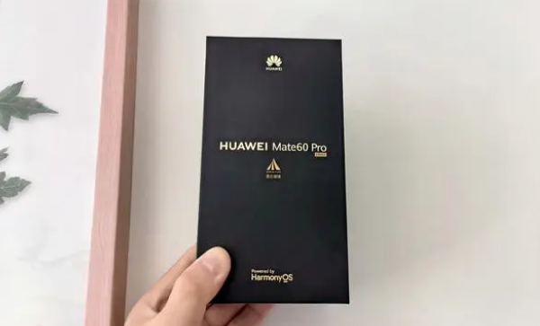 华为mate60pro支持5g网络吗