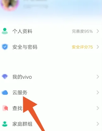 vivo云服务和iqoo云服务通用吗