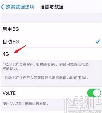 苹果12设置4G网络的方法