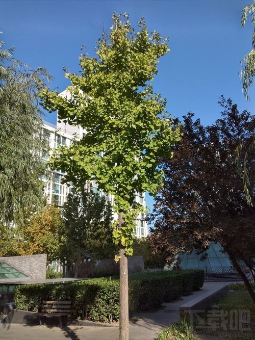 三星Galaxy A20s值得买吗 三星Galaxy A20s上手体验评测