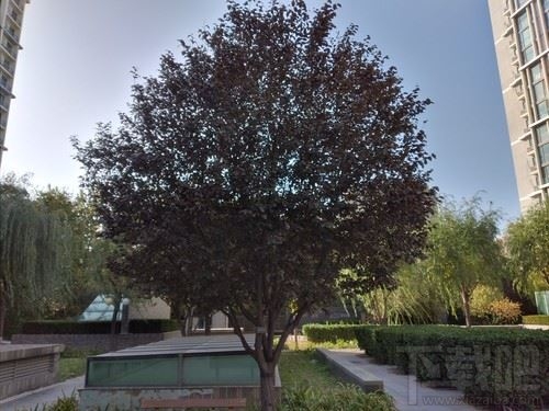 三星Galaxy A20s值得买吗 三星Galaxy A20s上手体验评测