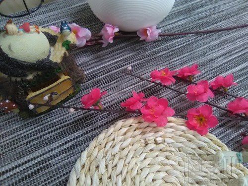 ivvi F1值得买好用吗？