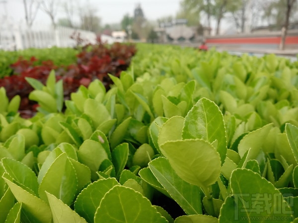 国美K1性能、拍照、系统全面评测