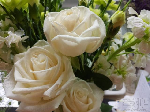 美图T8质量怎么样？美图T8介绍