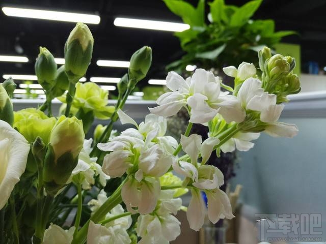 美图T8质量怎么样？美图T8介绍