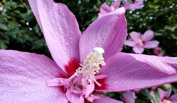 motox30pro拍照这么样