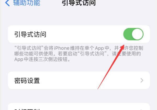苹果引导式访问屏幕失灵