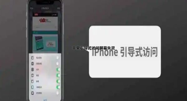 苹果引导式访问屏幕失灵