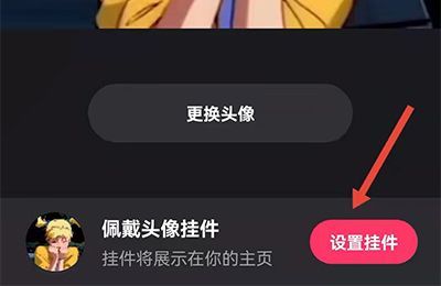 苹果手机快手开启挂件在哪