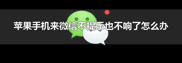 苹果手机来微信不提示也不响了怎么办
