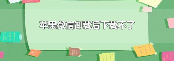 苹果微信卸载后下载不了