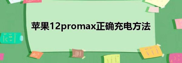 苹果12promax正确充电方法