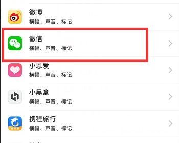苹果单独关闭微信声音