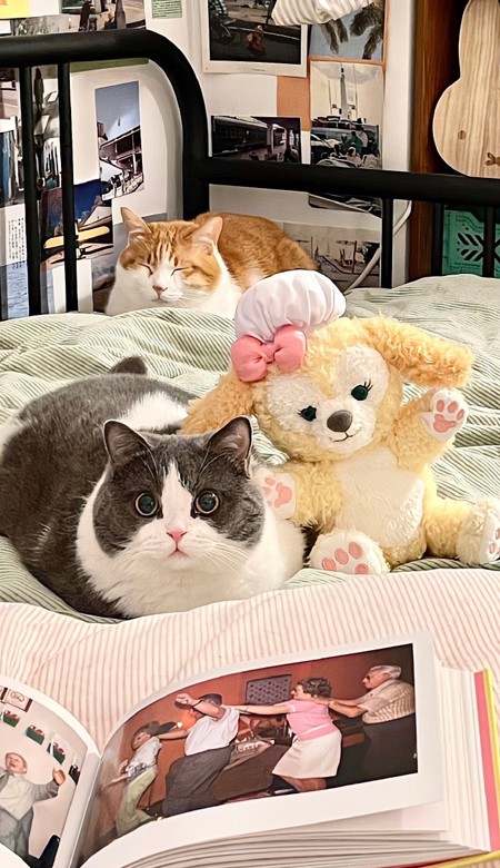 苹果15壁纸高清图片详情