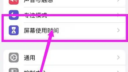 苹果15信息加密设置方法