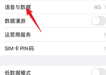 苹果15volte开关位置