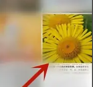 鸿蒙4.0桌面图片设置教程