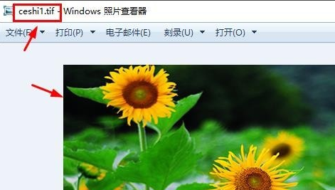 电脑怎么打开tif格式的文件?tif是什么格式?