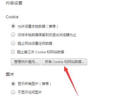 如何清除谷歌Chrome浏览器中某个网站的Cookie?