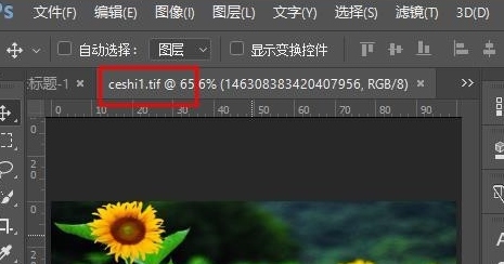 TIF格式怎么打开？TIF格式打开方法分享