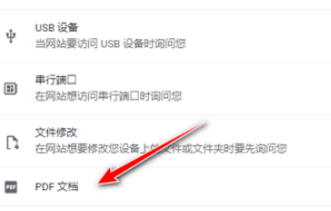 谷歌浏览器开启下载pdf文件步骤介绍