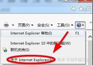 如何查看ie浏览器的版本