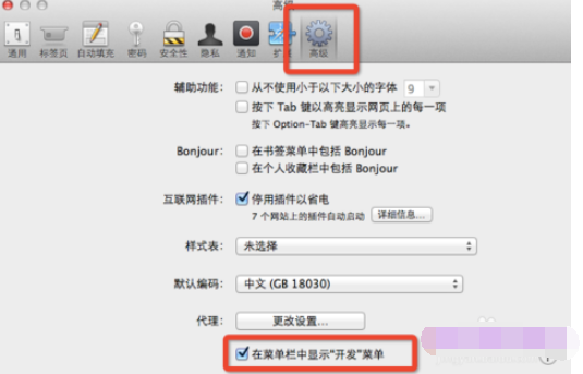 safari浏览器怎么查看源代码 源代码查看流程一览