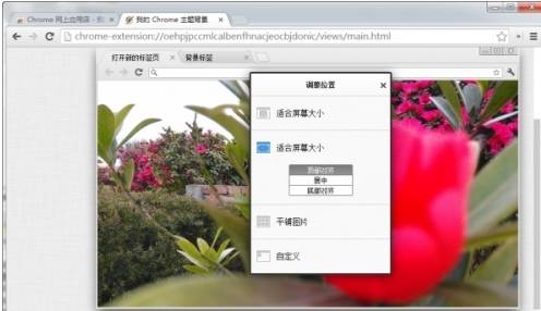 谷歌浏览器主题背景怎么设置？谷歌浏览器主题背景设置步骤分享