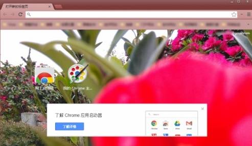 谷歌浏览器主题背景怎么设置？谷歌浏览器主题背景设置步骤分享