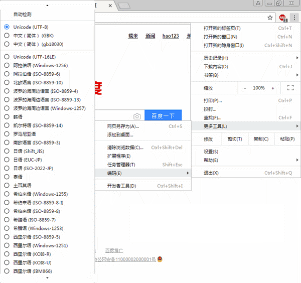 谷歌浏览器怎么更改编码 更改编码方式全览