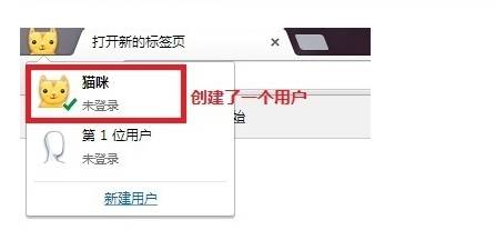 电脑谷歌浏览器小号怎么多开?小号多开的方法说明
