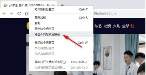 谷歌浏览器怎么关闭网页声音？网页声音关闭的方法分享