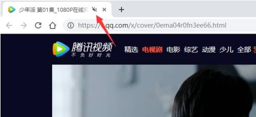 谷歌浏览器怎么关闭网页声音？网页声音关闭的方法分享