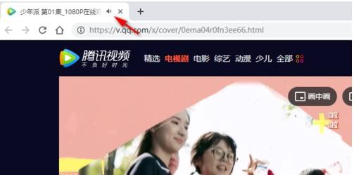 谷歌浏览器怎么关闭网页声音？网页声音关闭的方法分享