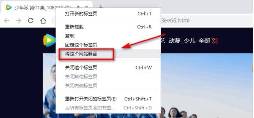 谷歌浏览器怎么关闭网页声音？网页声音关闭的方法分享
