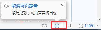 2345浏览器视频没有声音怎么解决?2345浏览器视频没有声音解决方法说明