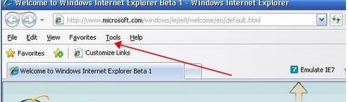IE变成英文版怎么解决？IE变成英文版解决方法说明