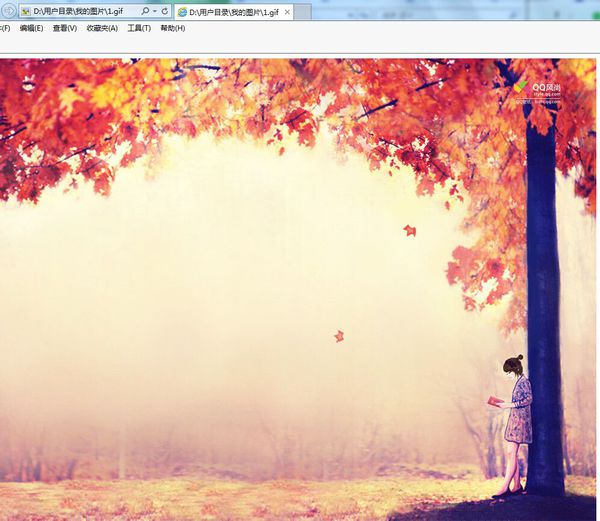 如何使用IE直接打开图片？使用IE直接打开图片的方法介绍